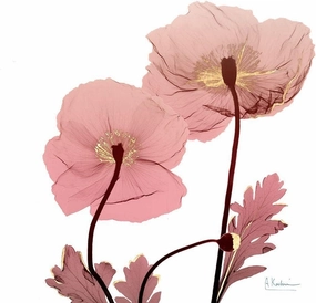 ArtDirect Golden Blush 2 11x11 UnFramed Art Print Poster Ready for Framing by Koetsier, Albert