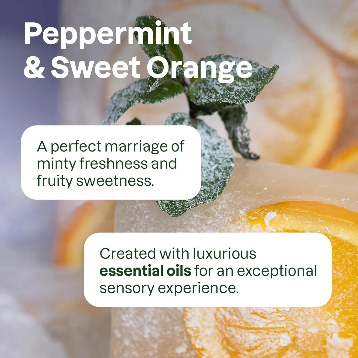 ATTITUDE Conditioner with Essential Oils, Plant and Mineral-Based Ingredients, Vegan Beauty Products, Aluminum Bottle, Hydrating, Peppermint & Sweet Orange, 16 Fl Oz