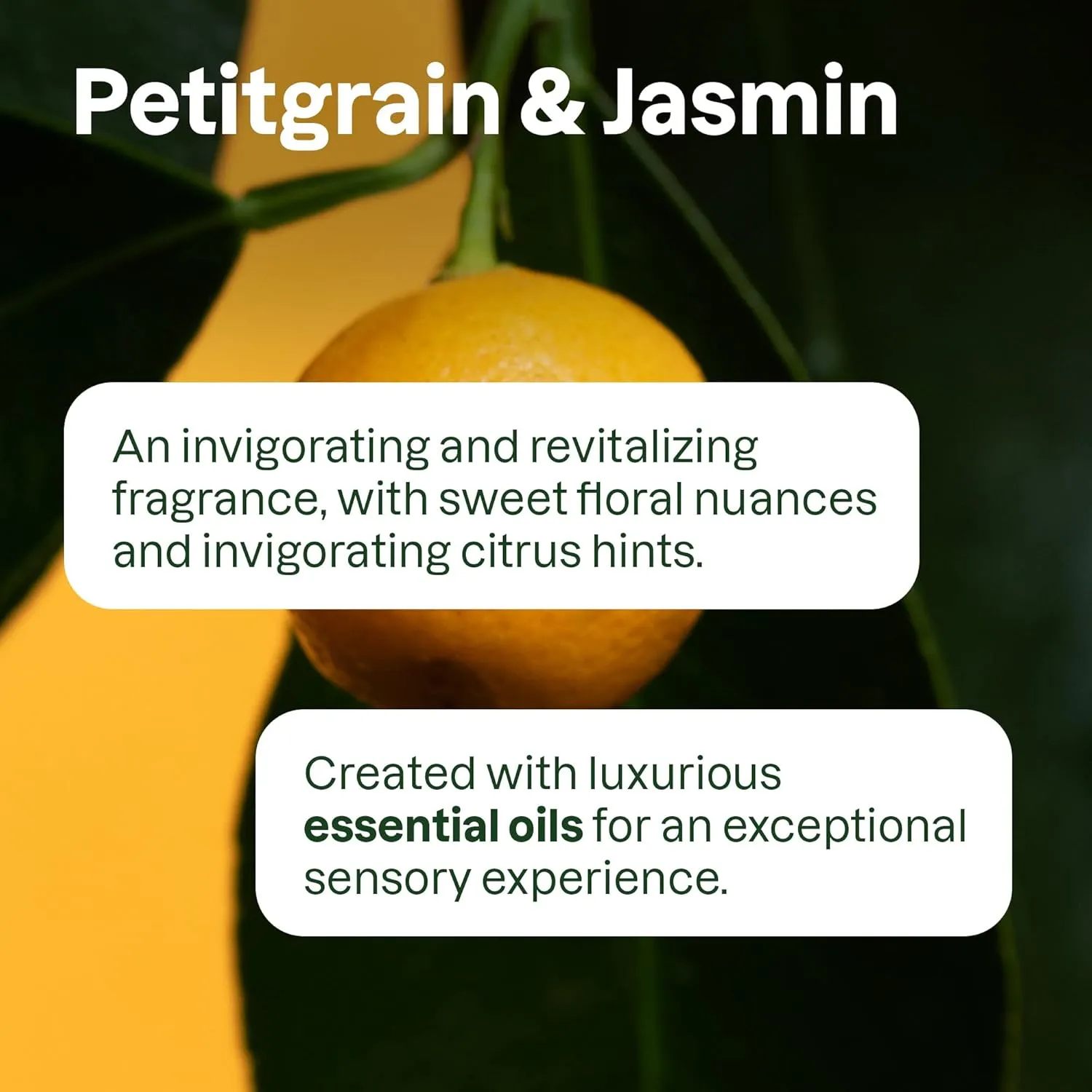 ATTITUDE Conditioner with Essential Oils, Plant and Mineral-Based Ingredients, Vegan Beauty Products, Aluminum Bottle, Volumizing, Petitgrain and Jasmine, 16 Fl Oz