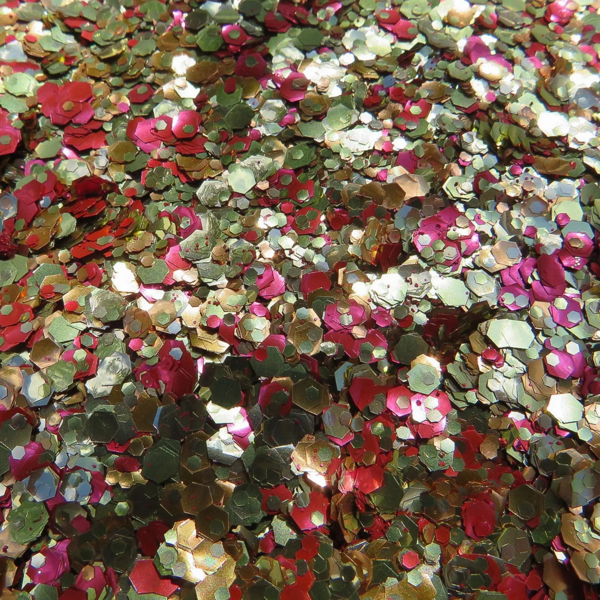 Autumn Leaves Eco Glitter