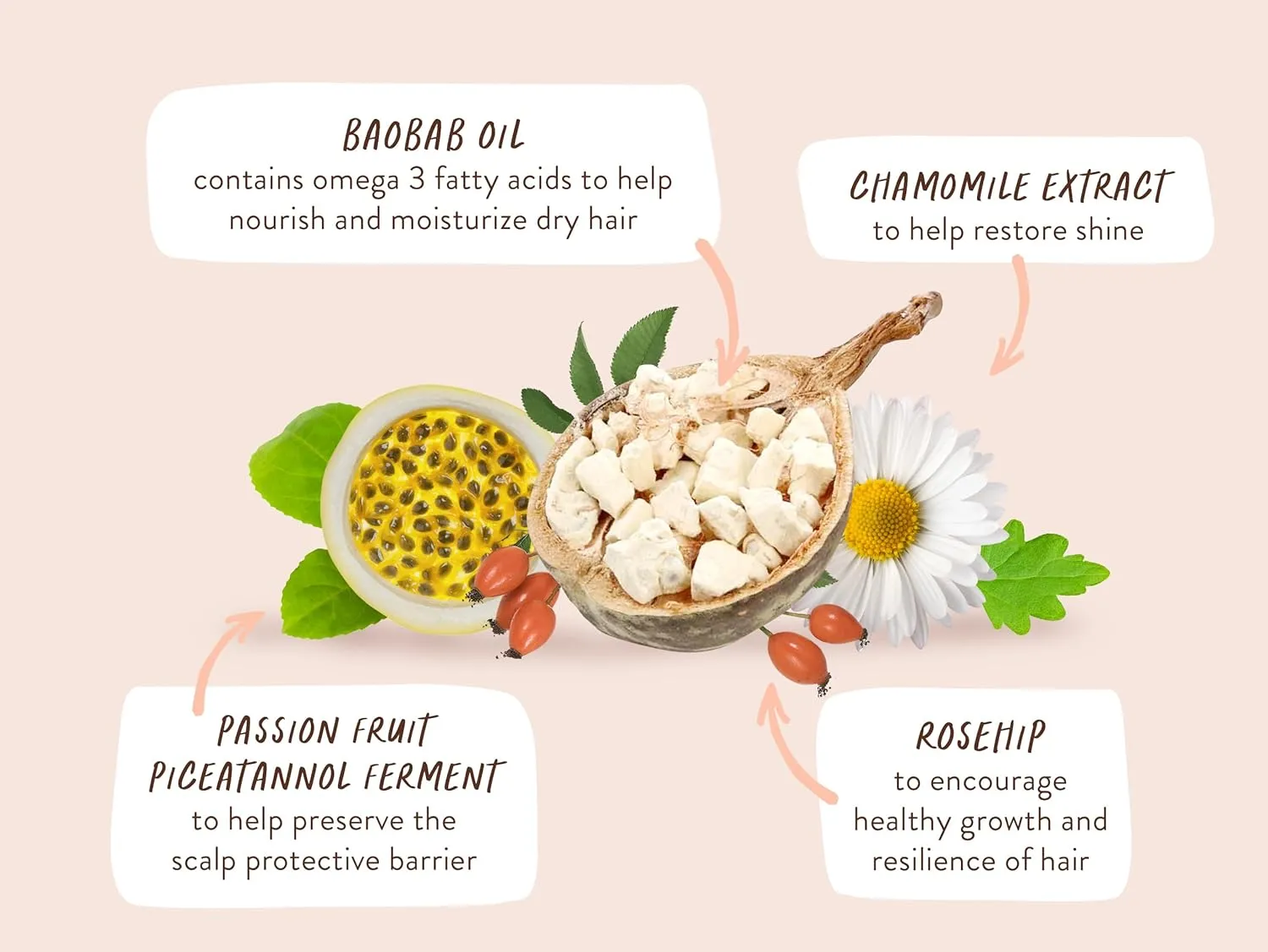 Babo Botanicals Defining Baobab & Rosehip Shampoo   Bundle with Conditioner – For extra dry, curly hair – Smooth & Define – Passion Fruit Ferment for scalp