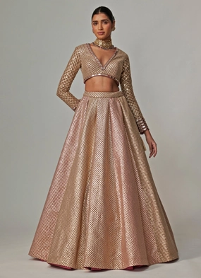 Beige And Blush Pink Embroidered Lehenga With Full Sleeve Blouse