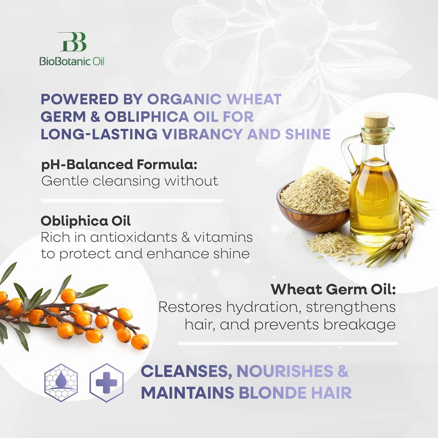 Bio Botanic Oil Shampoo for Blonde & Bleached Hair, Enriched with Organic Wheat Germ & Obliphica Oil, pH 5.5 Balanced, SLS-Free, Salt-Free, Protects & Enhances Blonde Color, 500ml