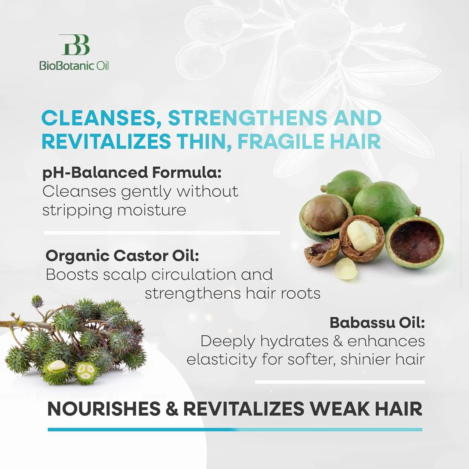 Bio Botanic Oil Shampoo for Thin, Sparse & Brittle Hair | Strengthens & Thickens | Organic Castor & Babassu Oils | SLS-Free, Paraben-Free, Hydrating & Revitalizing | 500ml