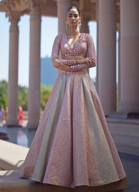 Blush Pink And Blue Pastel Hued Embroidered Lehenga Set