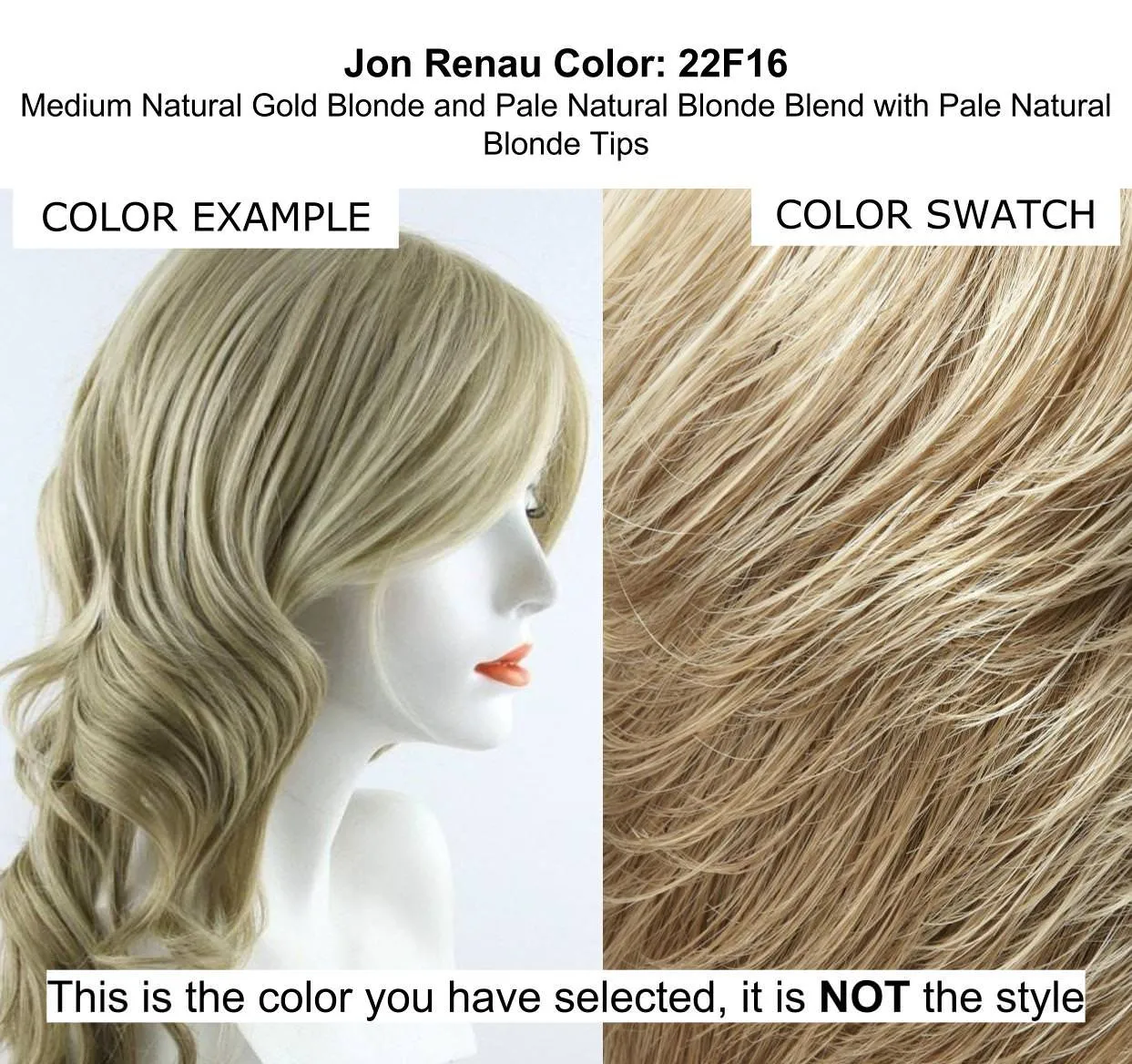 BUNDLE - 5 Items: Ignite AVERAGE SIZE Heat Friendly Synthetic Wig by Jon Renau, Christy's Wigs Q & A Booklet, HD Smooth Detangler, Synthetic Shampoo & Wide Tooth Comb - Color: 22F16
