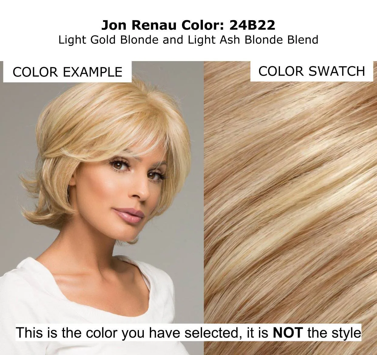 BUNDLE - 5 Items: Ignite AVERAGE SIZE Heat Friendly Synthetic Wig by Jon Renau, Christy's Wigs Q & A Booklet, HD Smooth Detangler, Synthetic Shampoo & Wide Tooth Comb - Color: 24B22