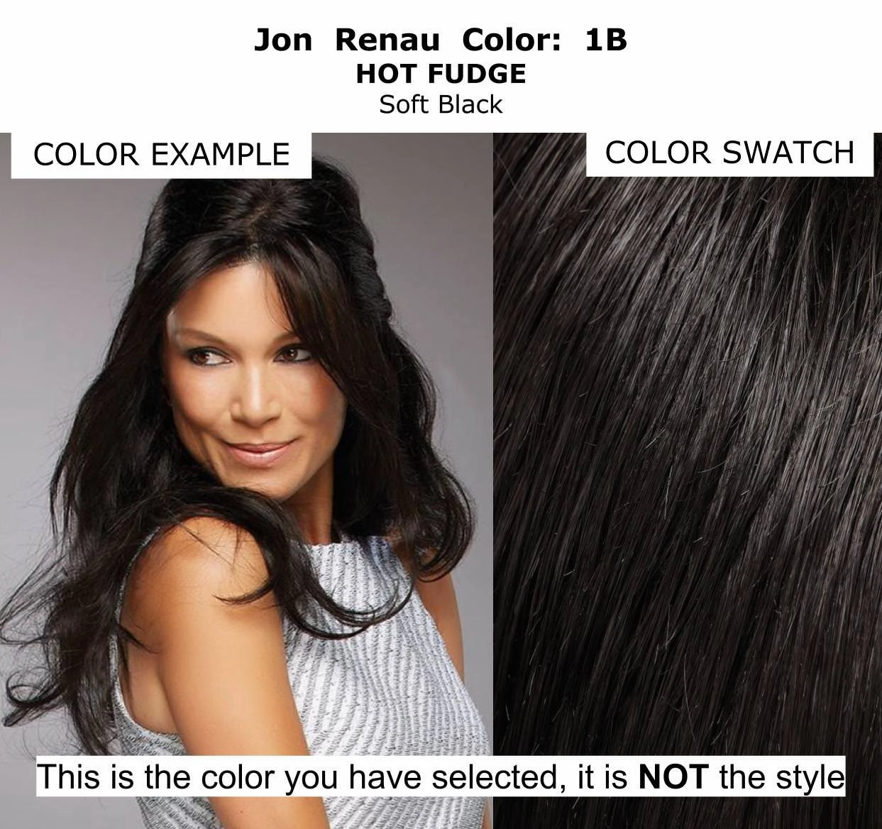 Bundle - 7 item: Blake Large Remy Human Hair Wig by Jon Renau, Christy's Wigs Q & A Booklet, BeautiMark Hydra Shampoo Conditioner Mask Protect Leave-In Spray Shine Serum - Color: 1B