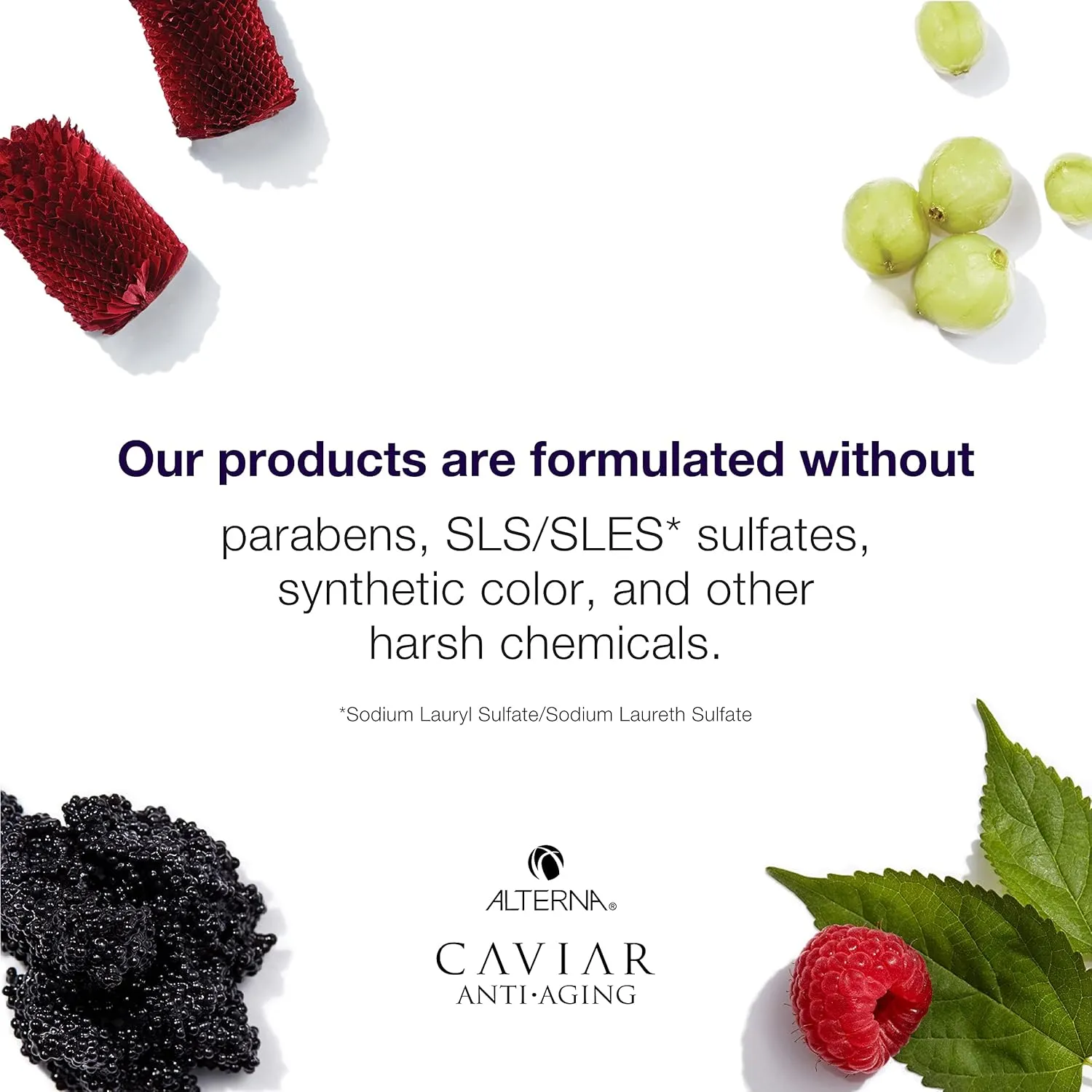 CAVIAR Anti-Aging Smoothing Anti-Frizz Conditioner| For Medium, Thick Hair | Smooths Hair, Tames Frizz | Sulfate Free