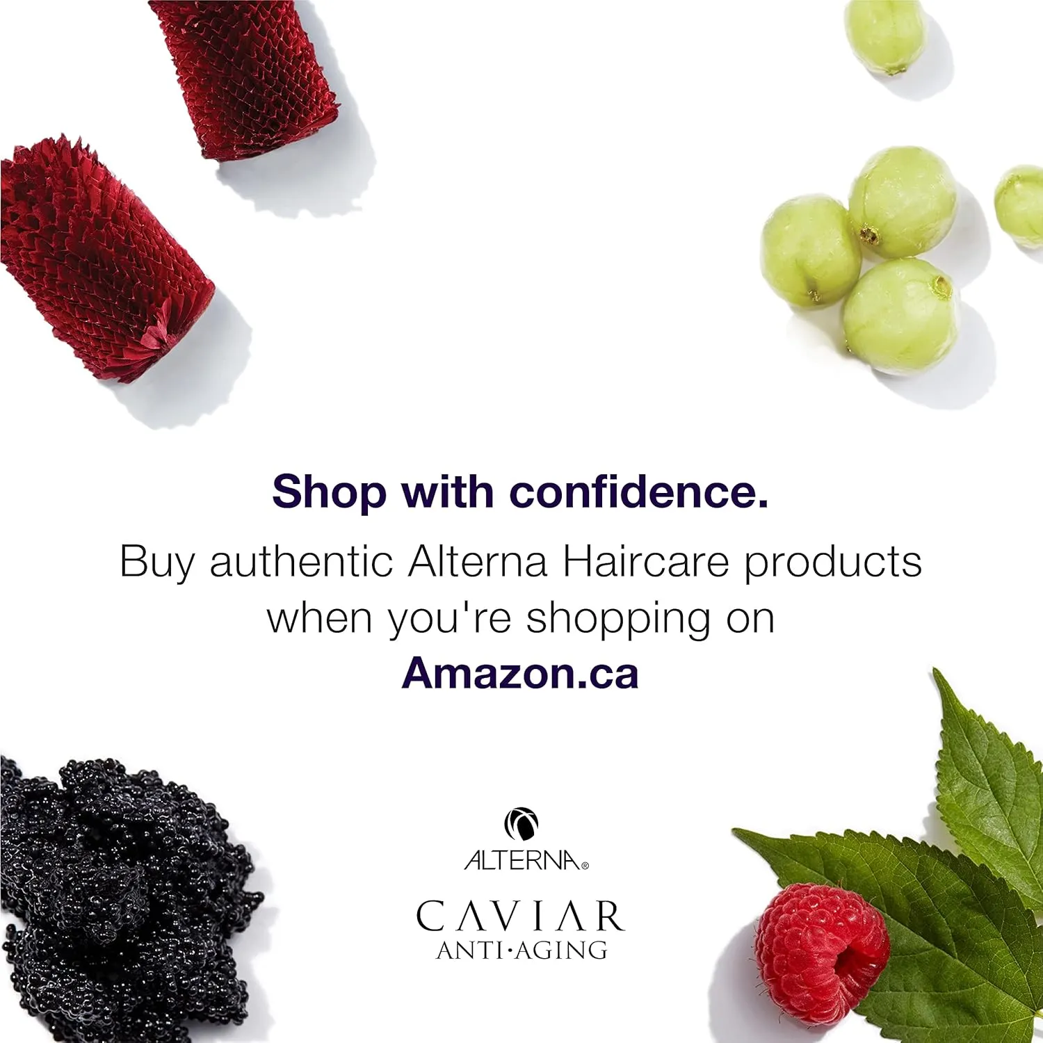 CAVIAR Anti-Aging Smoothing Anti-Frizz Conditioner| For Medium, Thick Hair | Smooths Hair, Tames Frizz | Sulfate Free