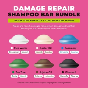 Damage Repair Shampoo Bar Bundle 2.0 - Hydrating & Moisturizing Natural Soap Bar for Hair & Scalp Nourishment - Solid Shampoo for All Hair Types (120g, 4.23oz - 6EA)