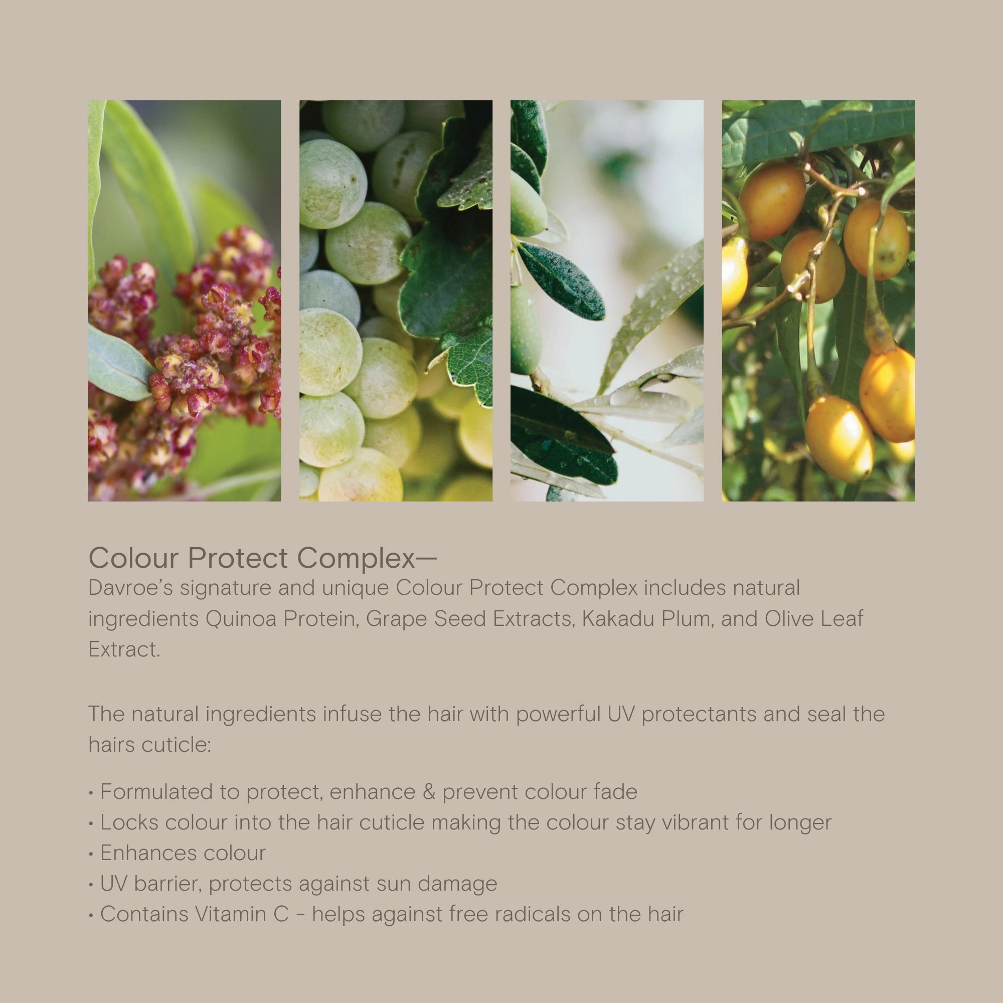 Davroe Smooth Senses Holiday Trio Pack