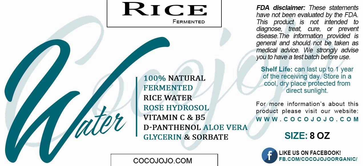 Dr Joe Lab Rice Water Growth Mix - Nourishing Toner with Rose Hydrosol, Aloe Vera Face and Scalp Essence, Rice Extract, Pro Vitamin B5, Oily Skin, Alcohol Free Spray Spritz (8 oz)