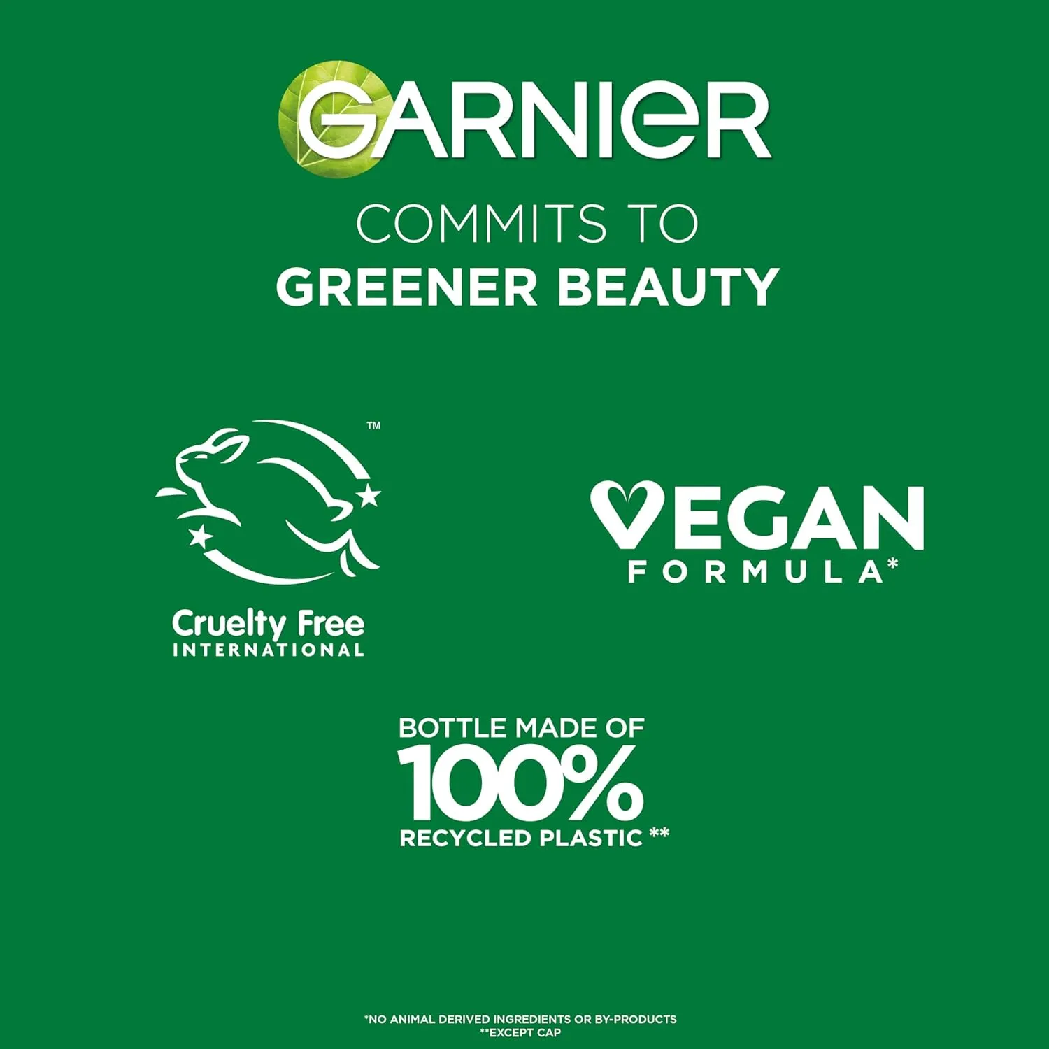 Garnier Fructis Sleek & Shine Shampoo, Conditioner   Leave-In Conditioer Set for Frizzy, Dry Hair, Plant Keratin   Argan Oil (3 Items), 1 Kit (Packaging May Vary)