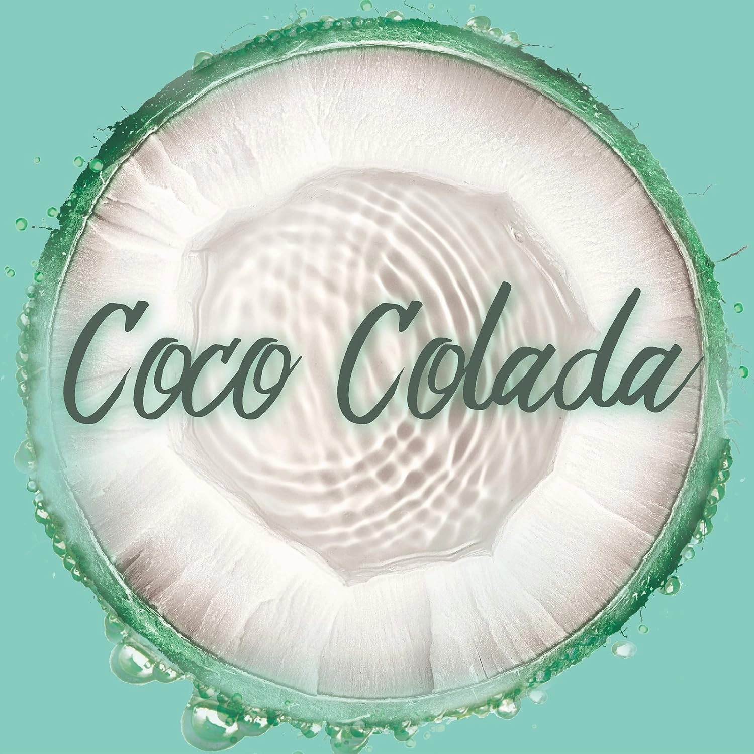 Garnier Invisible Dry Shampoo with no Visible Residue powered by Rice Starch to Instantly Absorb Oil, Refresh and Volumize, Silicone Free, Coco Colada by Fructis, 4.4 oz.