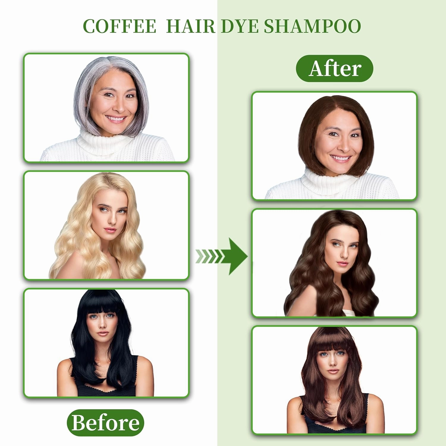 Hair Dye Shampoo 3 in 1 for Gray Hair Coverage, Herbal Ingredients Natural Shampoo Hair Dye for Women & Men/Ammonia-Free 520ml(Coffee)