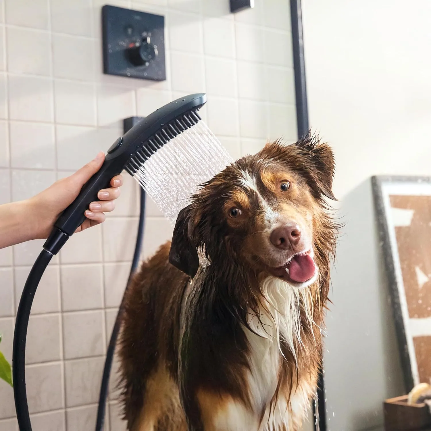 hansgrohe DogShower 150 3-Jet Handshower in Black, 1.75 GPM, 04973670