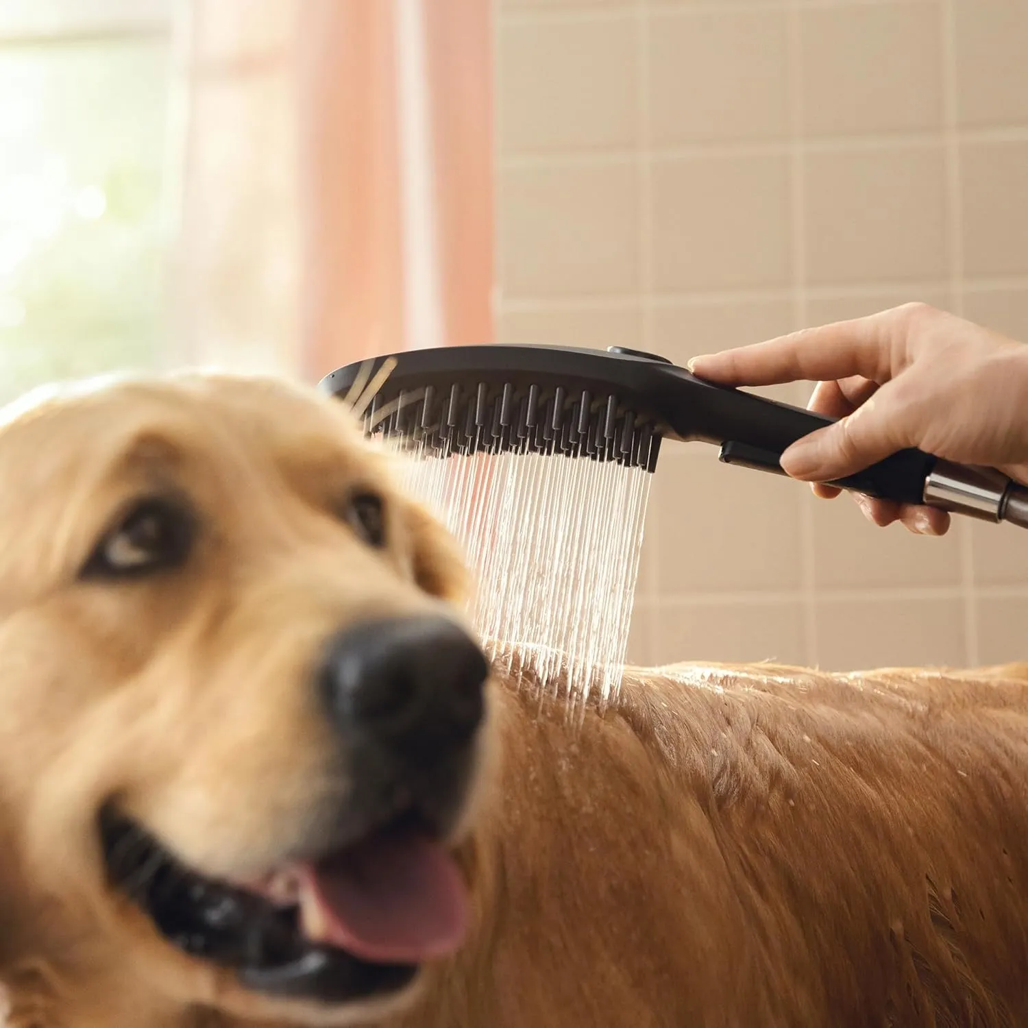 hansgrohe DogShower 150 3-Jet Handshower in Black, 1.75 GPM, 04973670