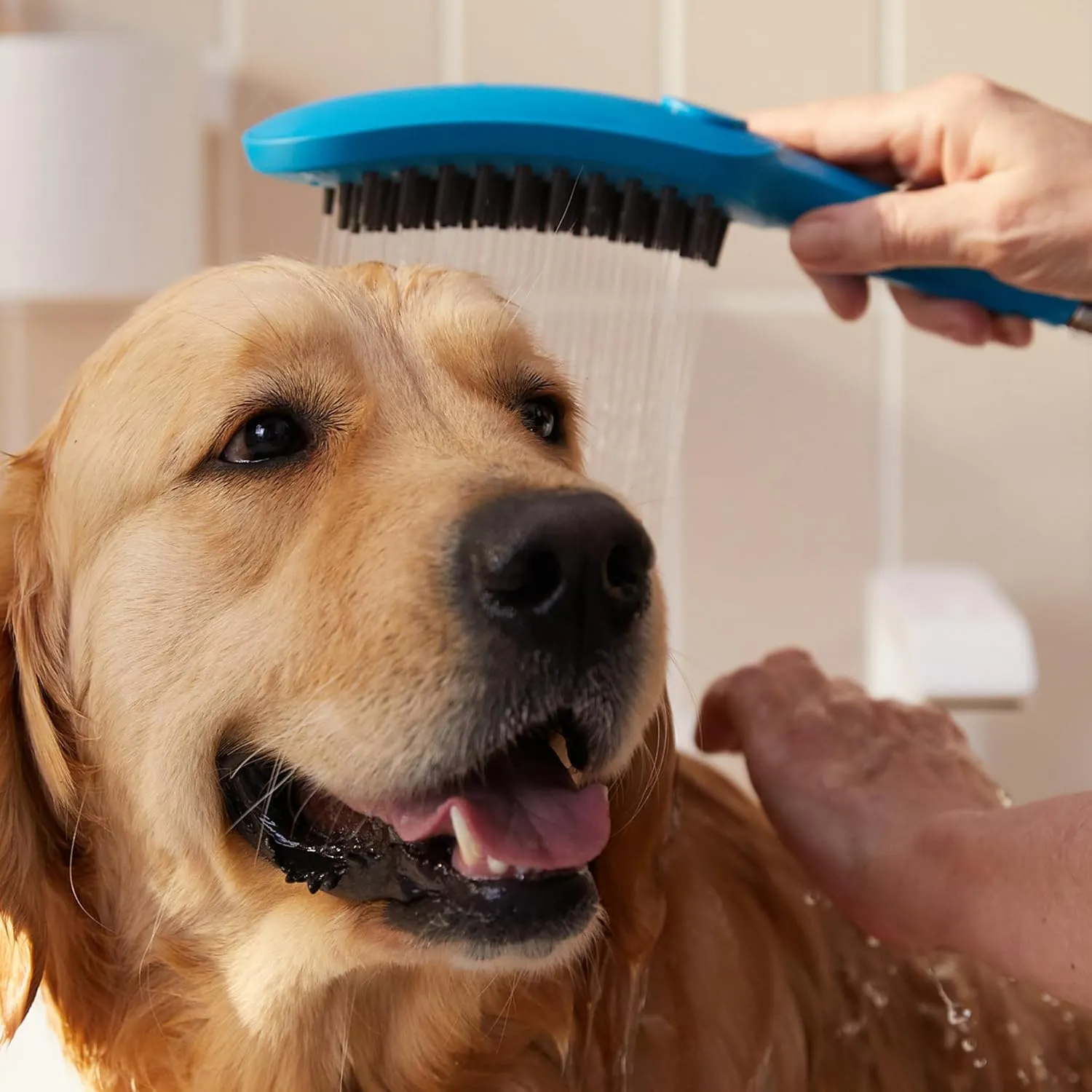 hansgrohe DogShower 150 3-Jet Handshower in Sky, 1.75 GPM, 04973540