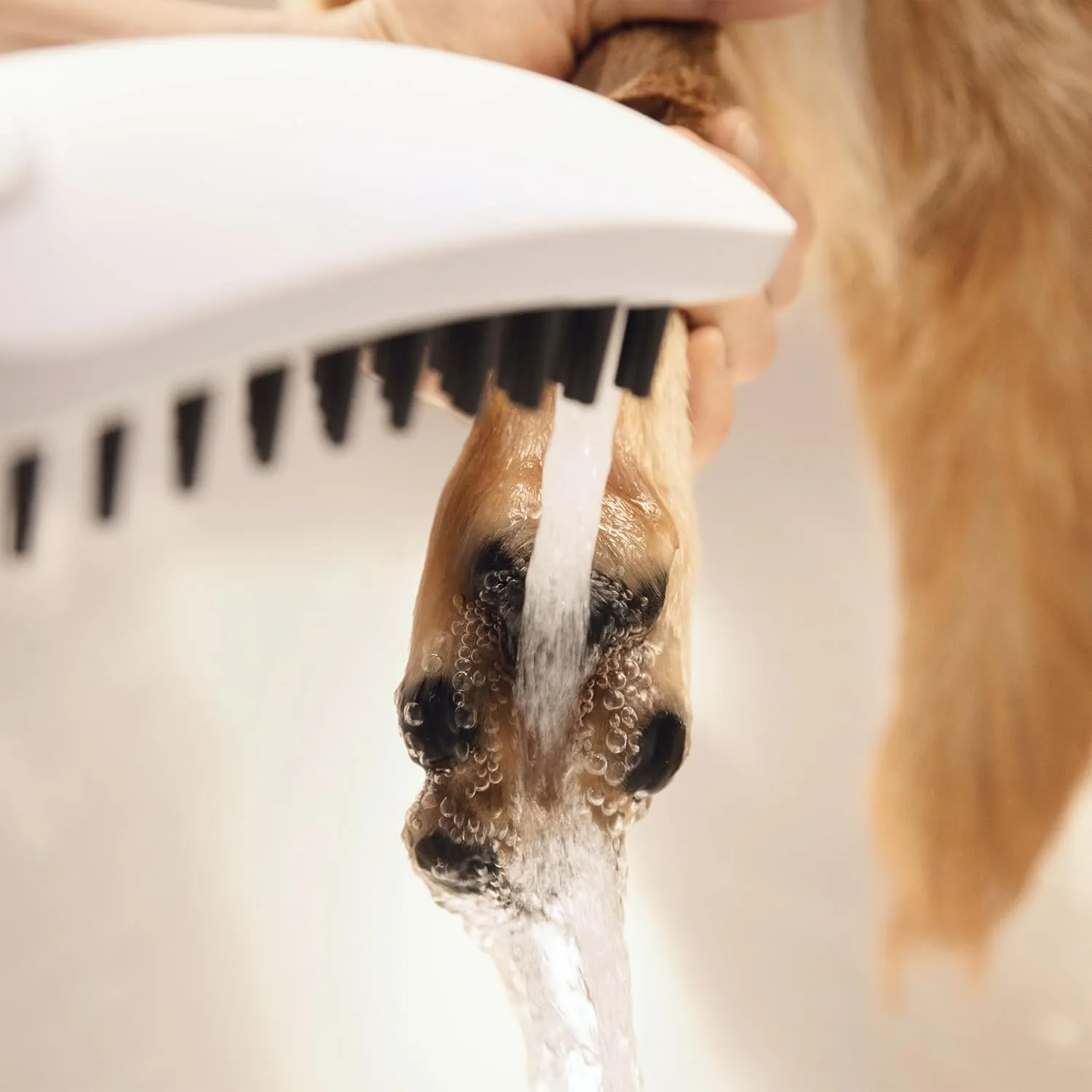 hansgrohe DogShower 150 3-Jet Handshower in White, 1.75 GPM, 04973700