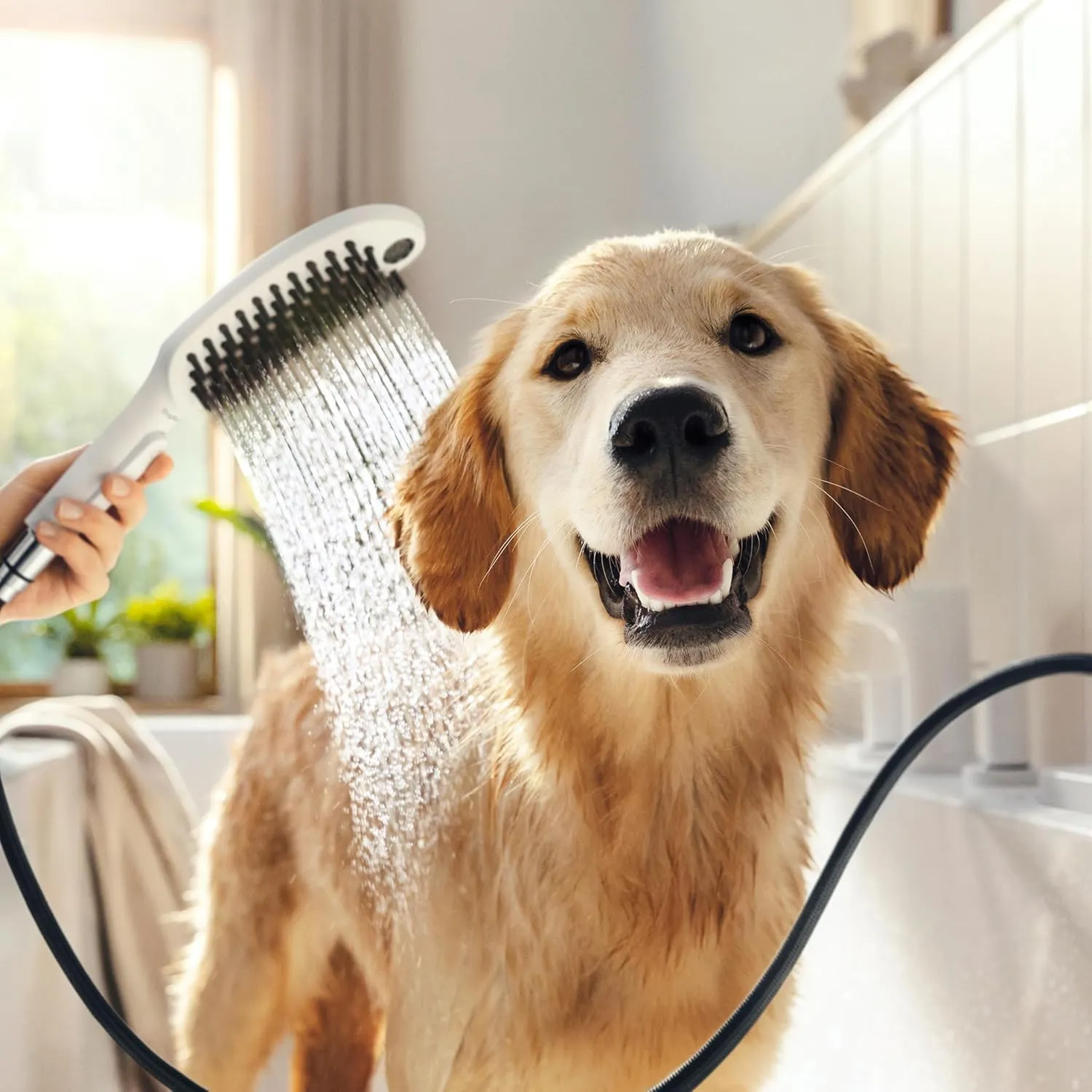 hansgrohe DogShower 150 3-Jet Handshower in White, 1.75 GPM, 04973700