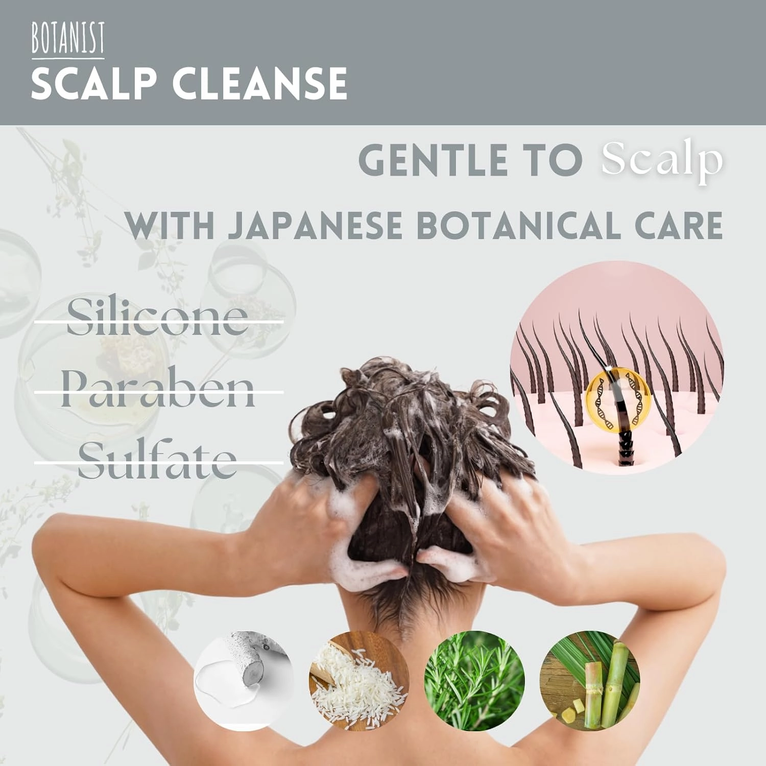 Keratin Shampoo for Oily Hair, Natural Shampoo for Women & Men with Keratin, Honey Protein, Collagen& Ceramide from Japan, Silicone& SulfateFree 15.5 Fl Oz LIME& GREEN LEAF- SCALP CLEANSE