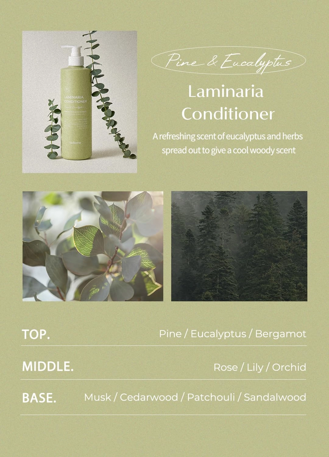 Laminaria Conditioner with Organic Ingredient, Damaged Hair Care Korean Conditioner, Hydrating & Smoothing, Anti-Frizz, Sulfate & Paraben Free, for Women & Men, 16.9 Fl Oz, Pine & Eucalyptus