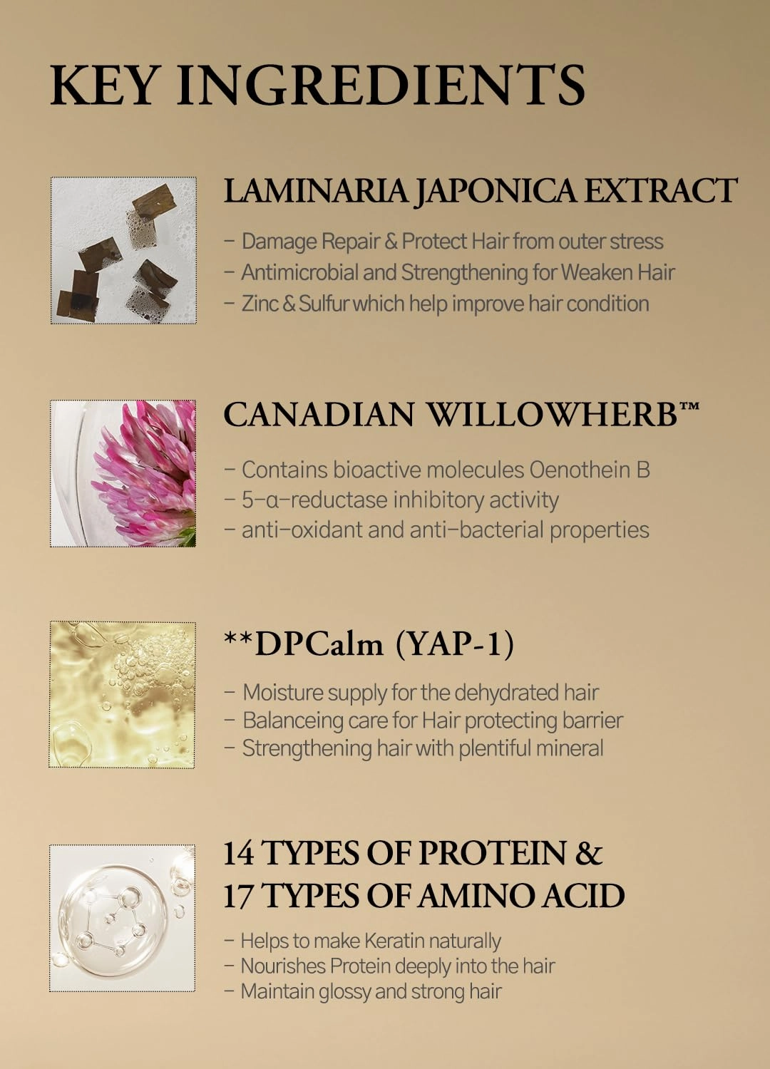 Laminaria Conditioner with Organic Ingredient, Damaged Hair Care Korean Conditioner, Hydrating & Smoothing, Anti-Frizz, Sulfate & Paraben Free, for Women & Men, 16.9 Fl Oz, Pine & Eucalyptus