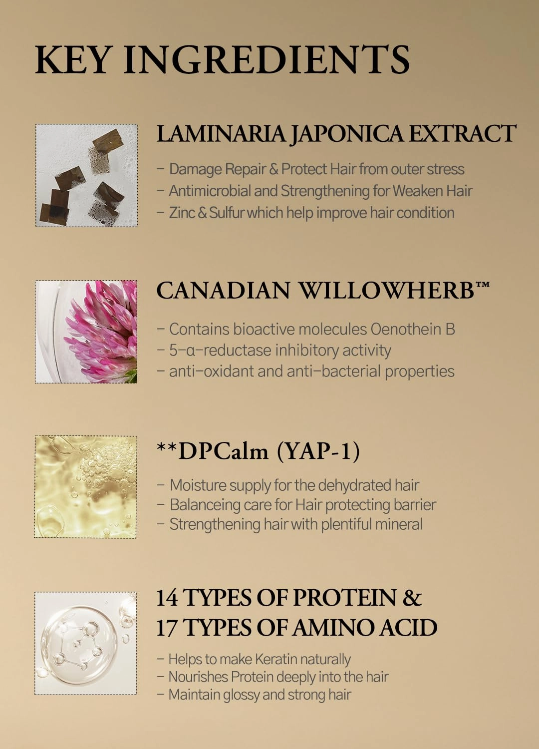 Laminaria Conditioner with Organic Ingredient, Damaged Hair Care Korean Conditioner, Hydrating & Smoothing, Anti-Frizz, Sulfate & Paraben Free, for Women & Men, 33.81 Fl Oz, Pine & Eucalyptus