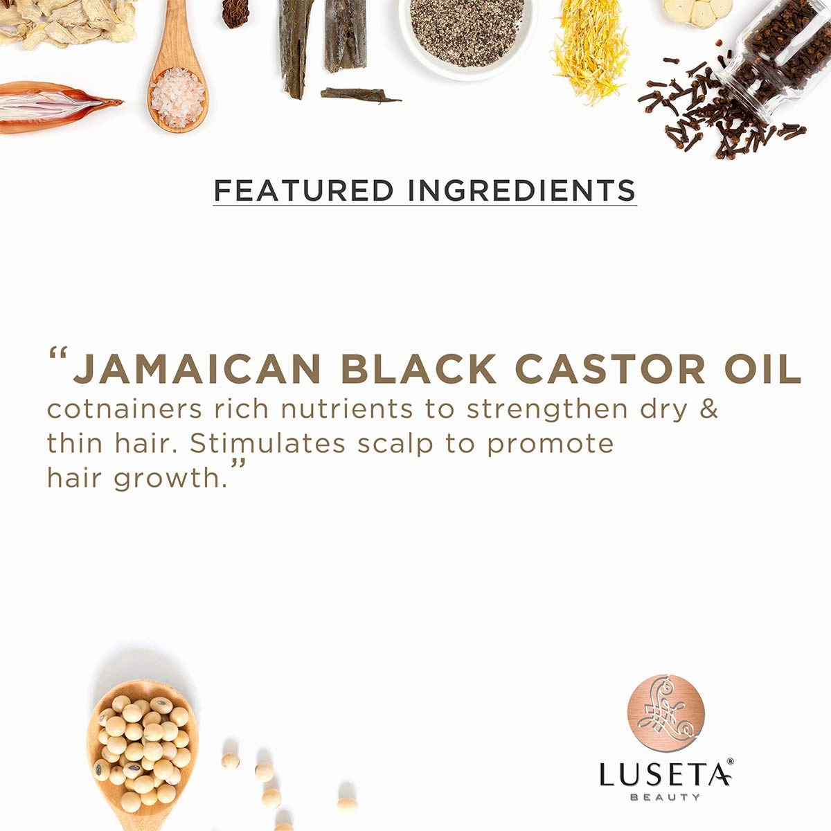 Luseta Castor Oil Shampoo and Conditioner Set Strengthen and Cleanse Thin Hair Restore Damaged Hair Sulfate Free for Men & Women 16.9oz*2