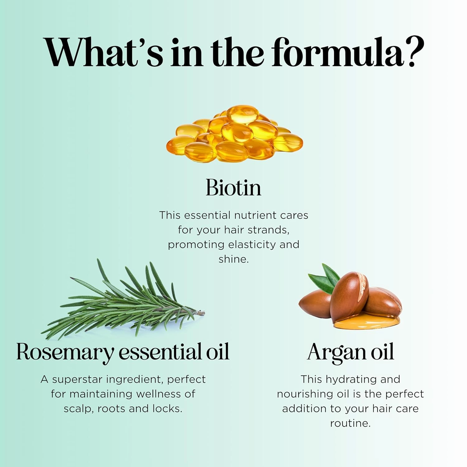Maple Holistics Biotin Rosemary Conditioner - Vegan, Sulfate-Free, Moisturizing & Volumizing for Fine, Weak, & Dull Hair (16 Fl Oz)