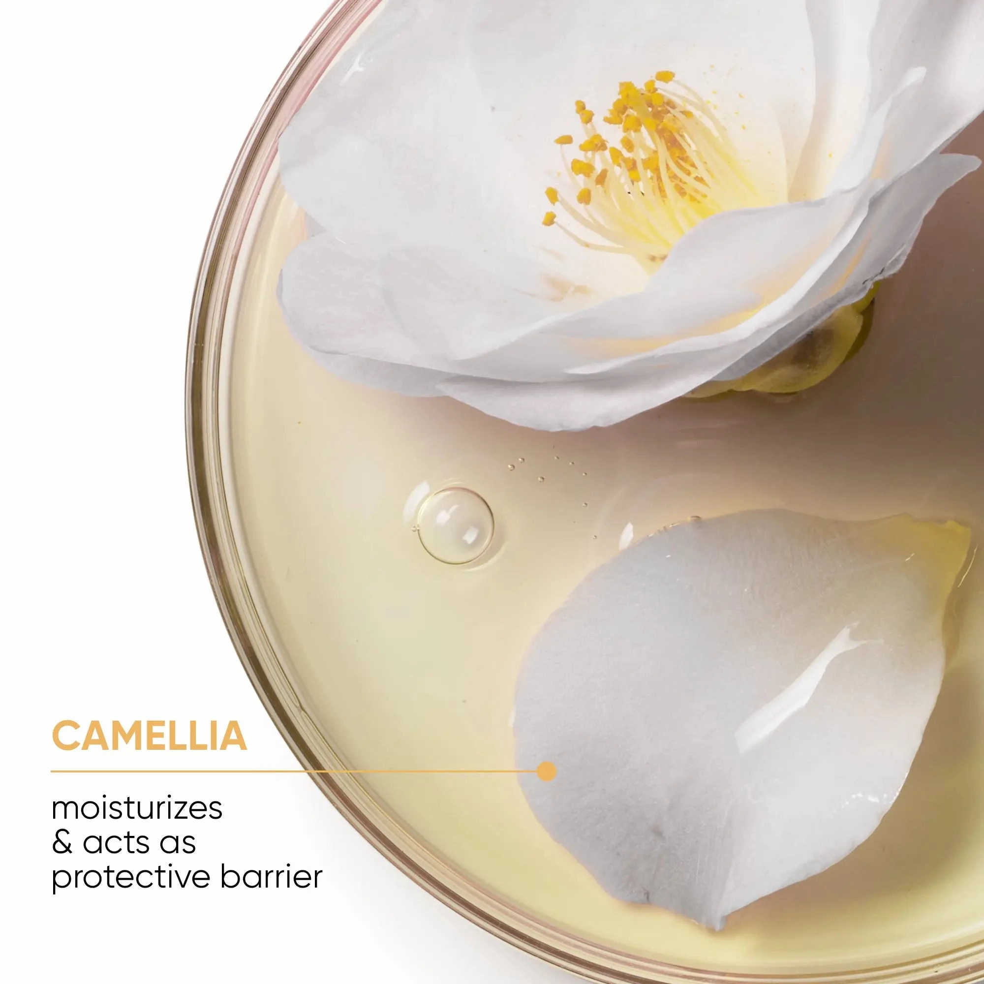 Matrix Smoothproof Conditioner With Camelia Seed Oil 400ML