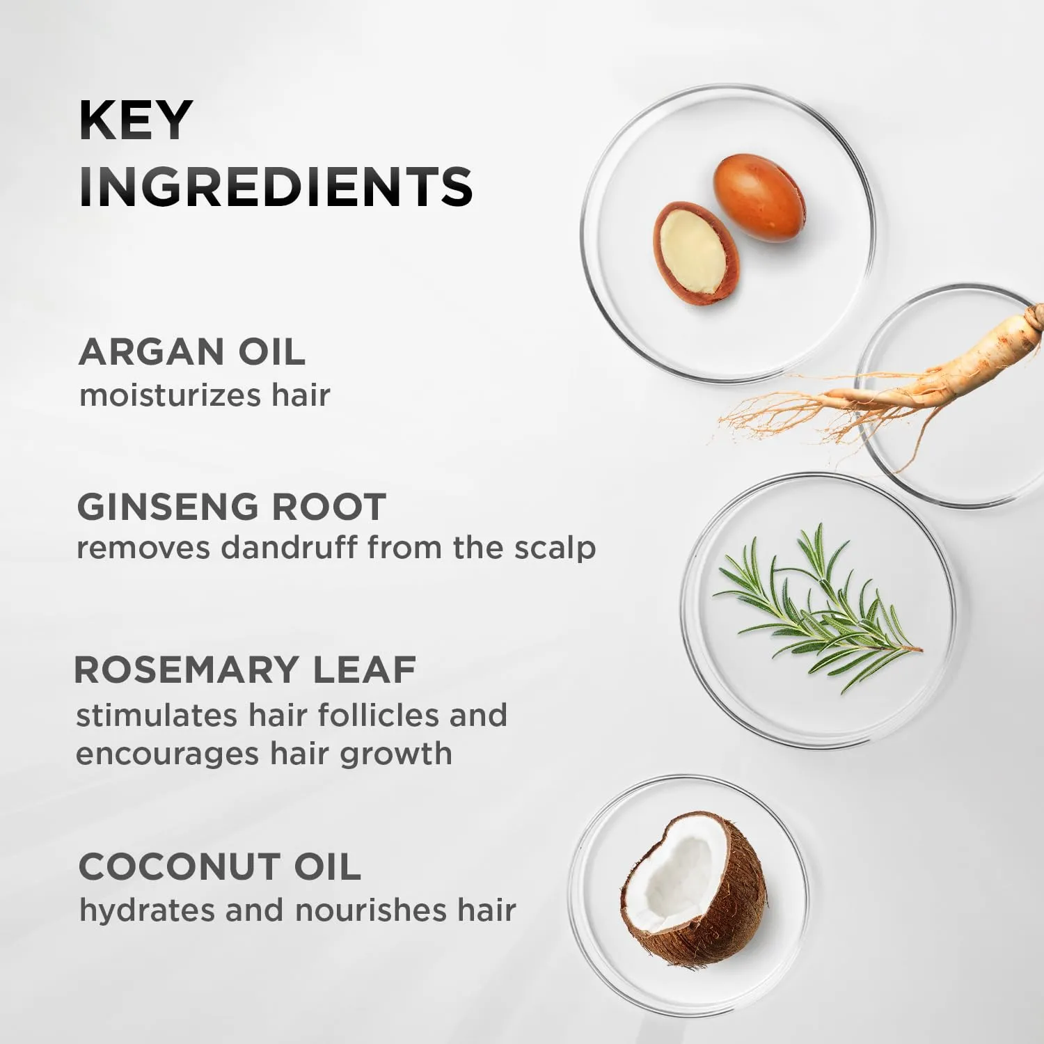 MOEHAIR Hair Guard Conditioner | Strengthens Roots and Boosts Hair Follicles | Moisturizing Conditioner Infused with Vitamin-E, Argan Oil & Ginseng | Paraben & Sulfate Free (12 Fl. Oz)