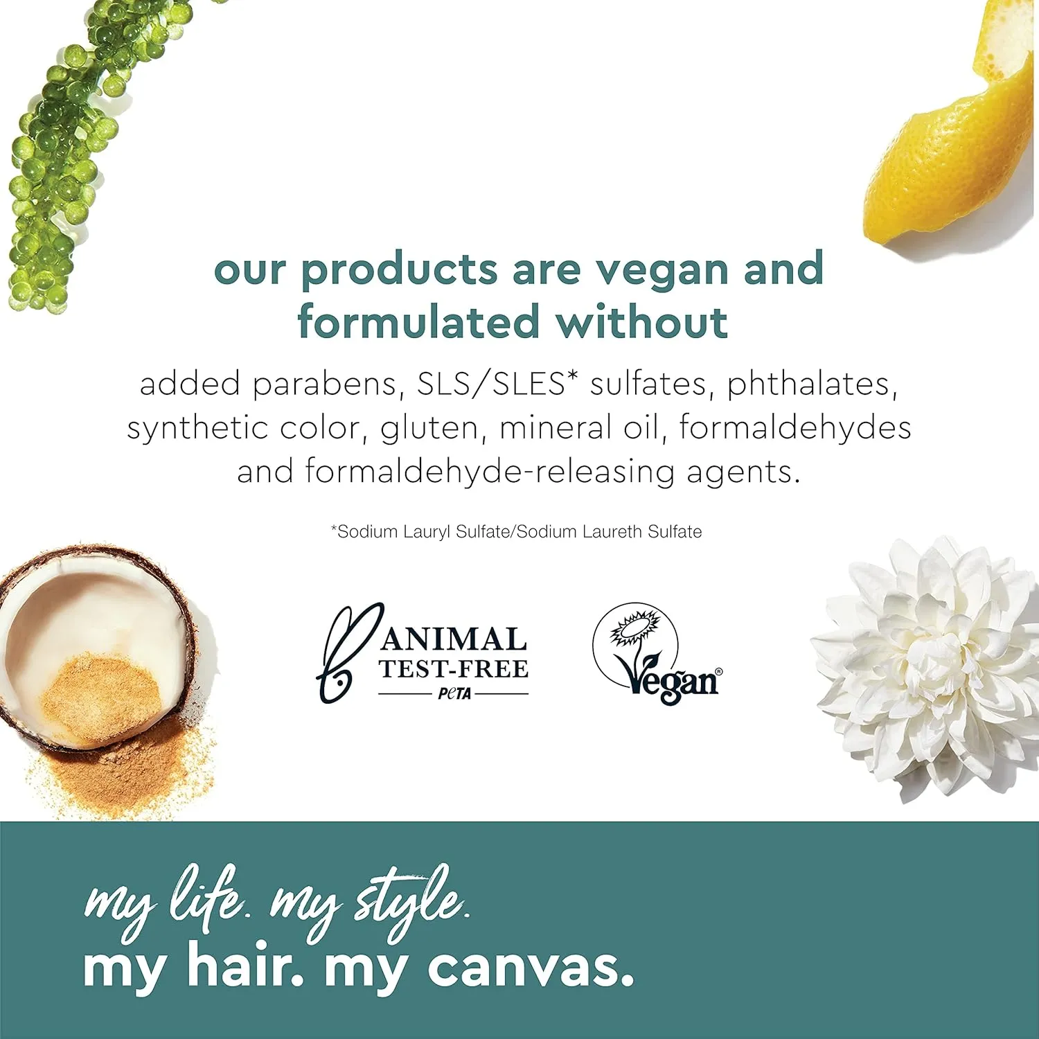 My Hair. My Canvas. Begin Again Vegan Curl Cleanser Enhancing Shampoo for Curly, Coily, and Textured Hair