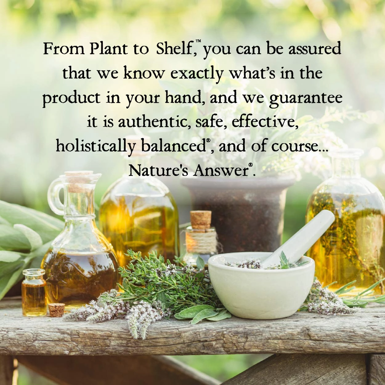 Nature's Answer Essential Oil Conditioner with Pump, Coconut Vanilla, 16-Ounce | Rejuvenates Hair | Hydrating Formula | Essential Oil Infused | Repair and Strengthen Hair