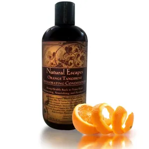 Orange Tangerine Conditioner | Lightweight Conditioner for Oily Hair, Gray Hair, Hair Loss & More | Leaves Hair Soft & Healthy | Paraben & Sulfate Free Conditioner | 16 oz
