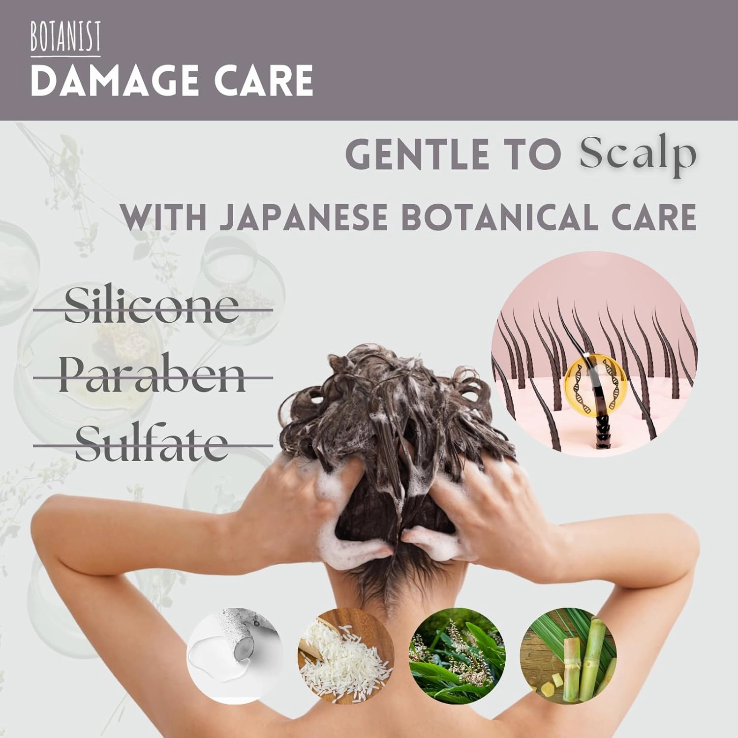 Organic Shampoo for Damaged Hair, Sulfate Free Shampoo for Women & Men with Keratin, Proteins, Collagen& Hyaluronic Acid from Japan, Silicone Free 15.5 Fl Oz Freesia & Cassis - DAMAGE CARE