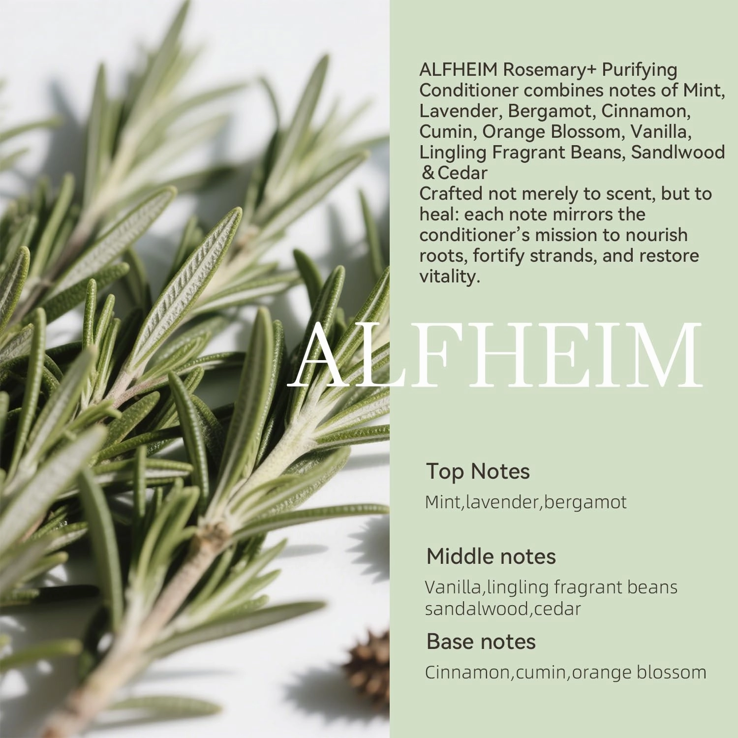 Rosemary  Conditioner | Sulfate-Free Lightweight Hydrating Conditioner for Oily Hair & Scalp | Infused with Rosemary & Peppermint Oil for Scalp Refresh & Hair Softness | 18 fl oz