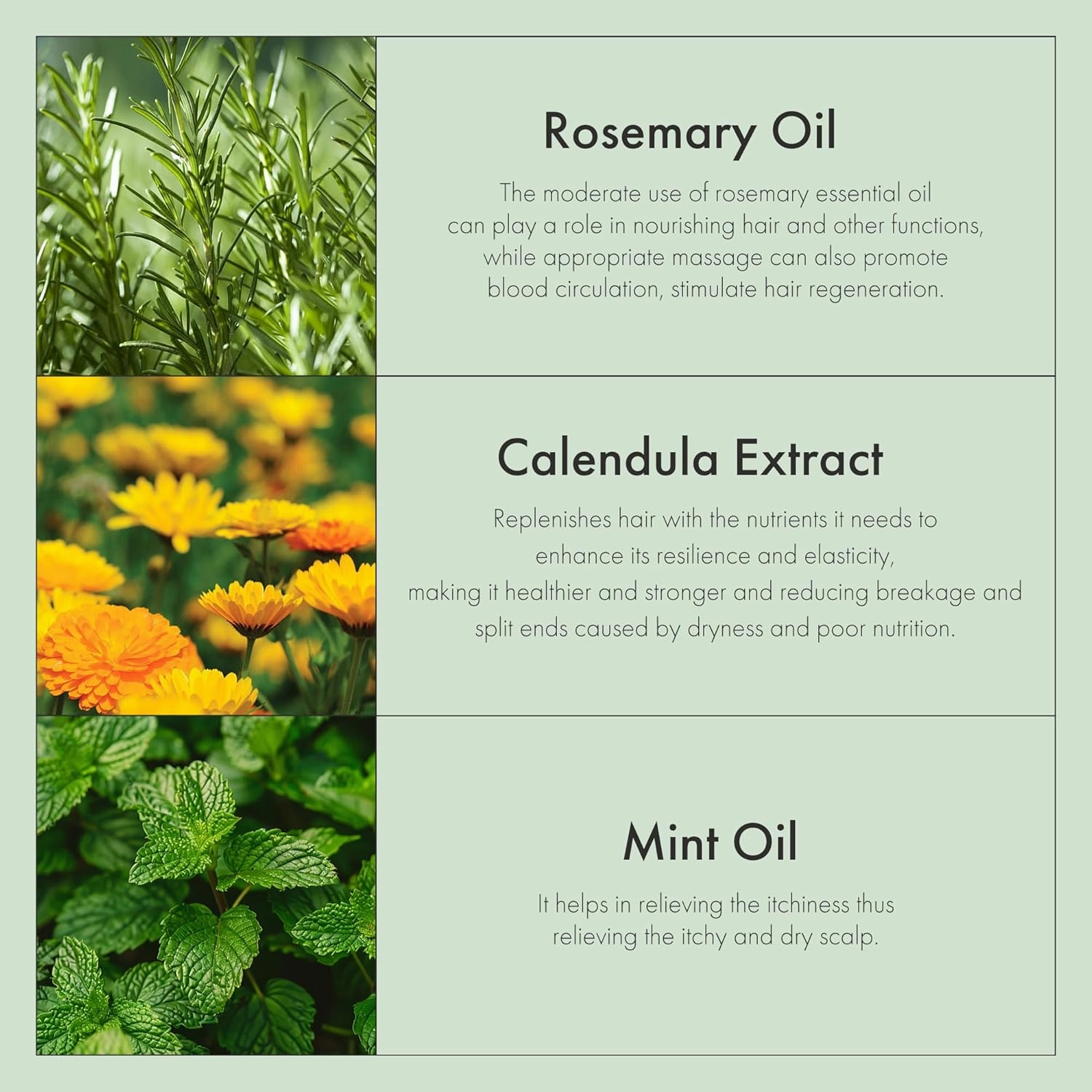 Rosemary  Shampoo & Conditioner Set | Rosemary & Peppermint Oil for Scalp Care & Oil Control | Jojoba & Calendula for Hydration & Shine | Sulfate-Free, Color-Safe | 18oz Each