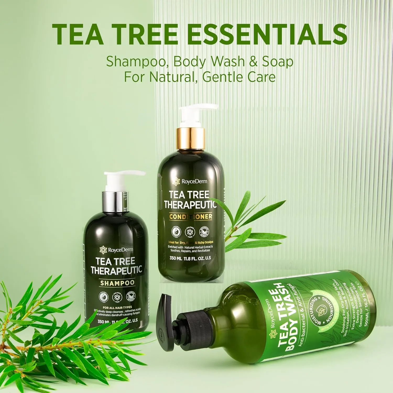 Roycederm Tea Tree Antifungal Shampoo and Conditioner: Complete Scalp Care Solution for Folliculitis, Dry, Itchy, and Flaky Scalp - Infused with Tea Tree Oil, Paraben & Sulfate Free