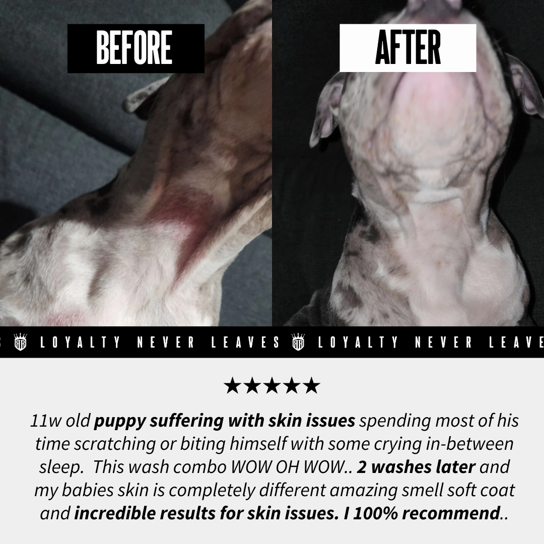 Sensitive Skin | "Smooth & Soothe" Combo