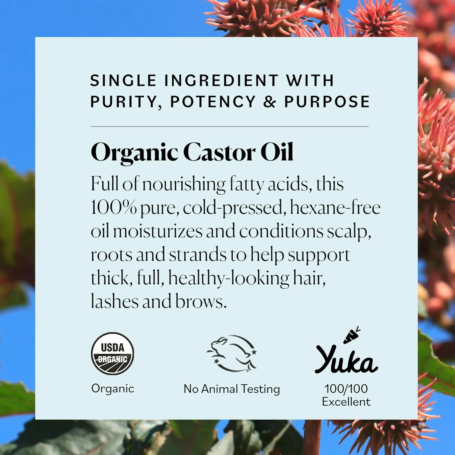 Sky Organics - Castor Oil Organic - Volumizing Hair Oil - Scalp, Lashes, Brows - Pure Castor Oil Cold Pressed - Natural Conditioner - Omega Fatty Acids, Vegan - Beauty, Hair Care - 8oz w ebook
