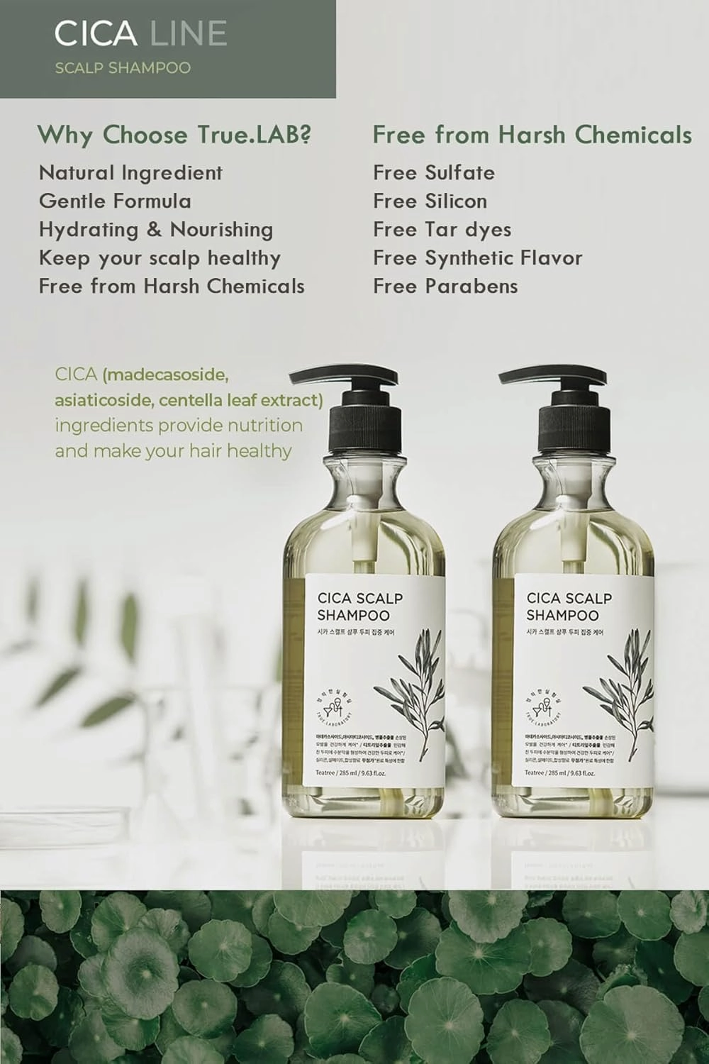 TheMogan True.LAB Cica Scalp Shampoo 285ml - Natural Ingredients, Tea Tree & Lavender Oils, Potent Botanical Extracts for Healthy, Revitalized Hair