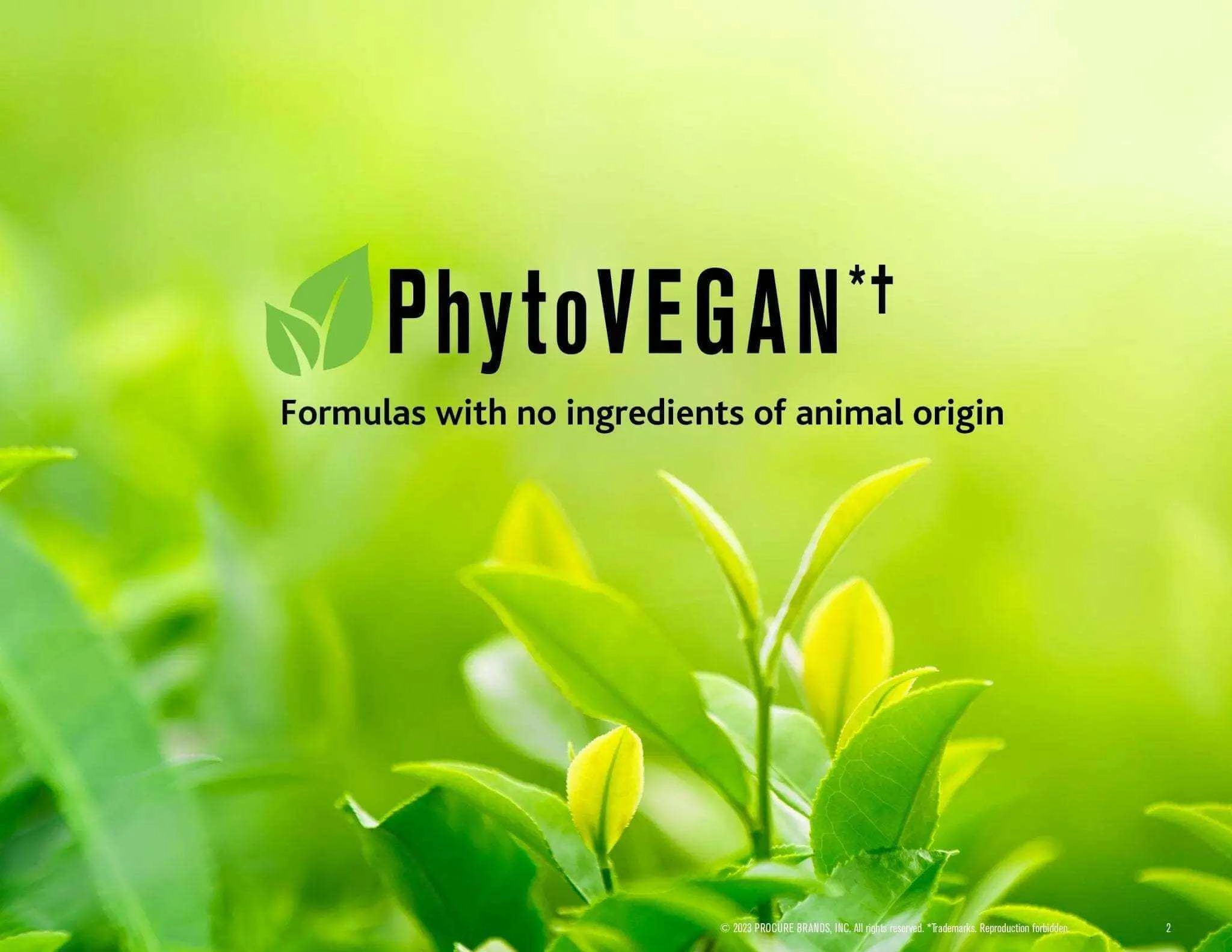 VICE-VERSA CURLS Prowash Vegan Hair Shampoo & Pump