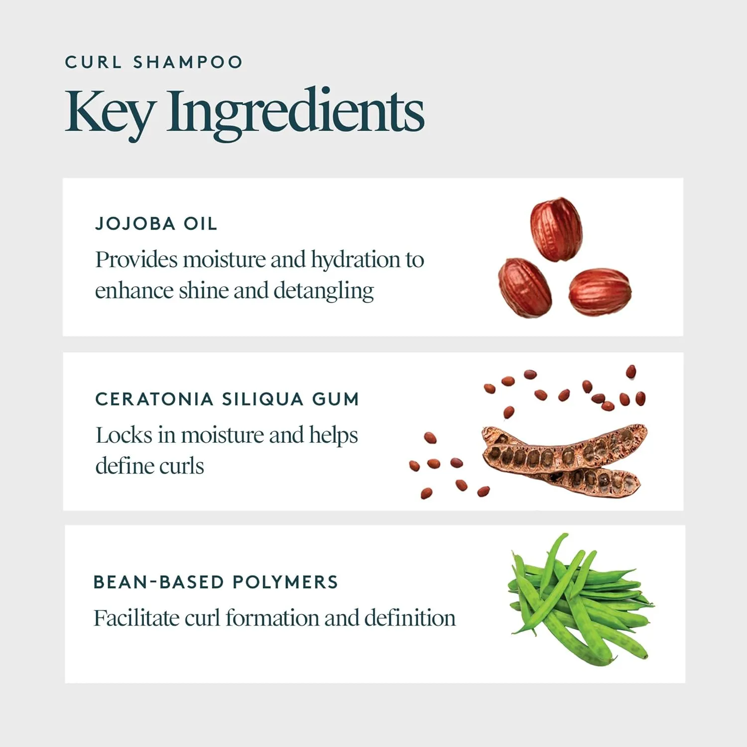 VIRTUE Curl Sulfate Free Shampoo with Jojoba Oil, Hydrates, Nourishes & Repairs Curly Hair with Frizz Control, Color Safe